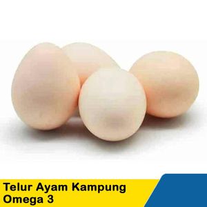 pengepul telur ayam arab