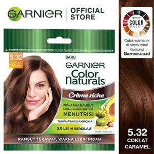 Promo Harga Garnier Hair Color 5.32 Coklat Caramel 105 ml - Indomaret