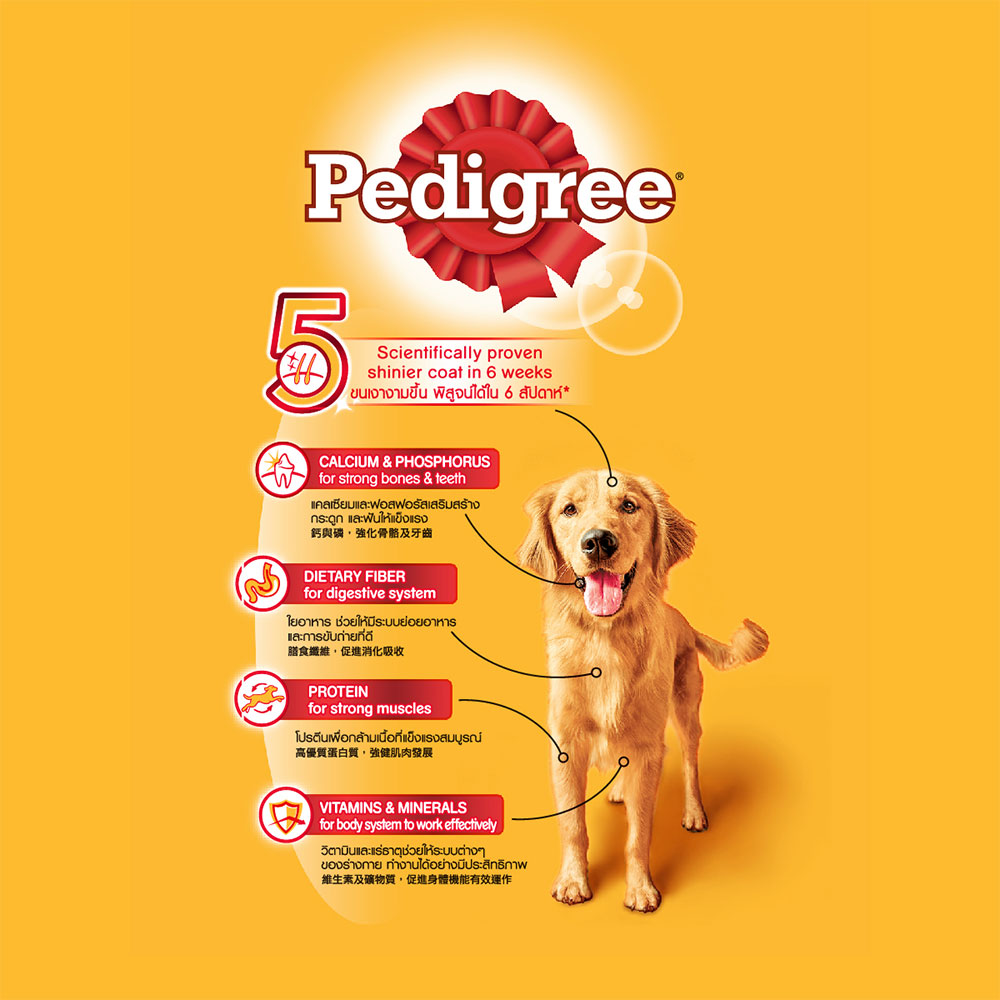 Pedigree Dry Adult Dog Food Beef & Vegetables 500g | Klik Indomaret