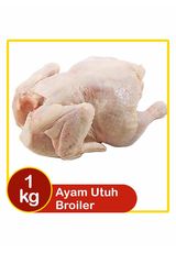 Ayam Broiler