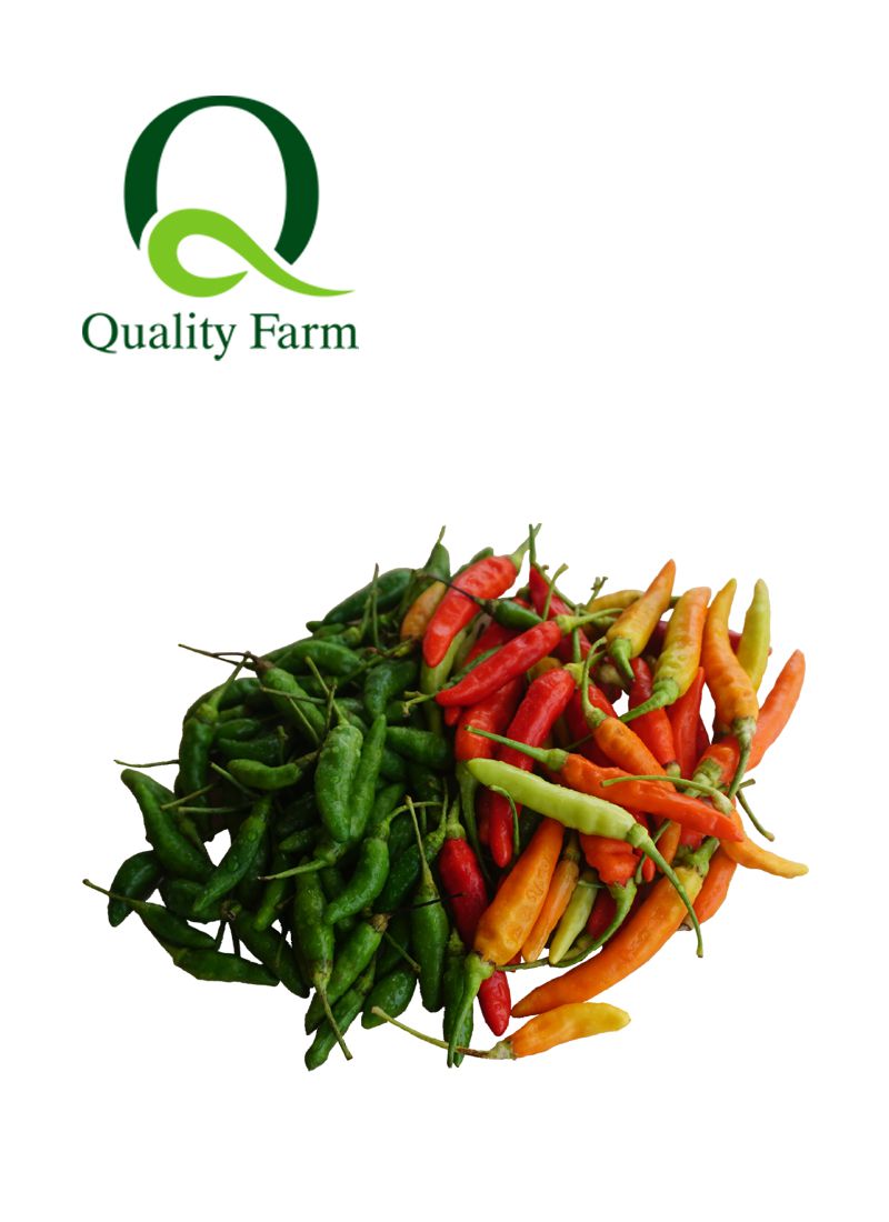 Quality Fresh Cabe  Rawit  Mix 200g KlikIndomaret