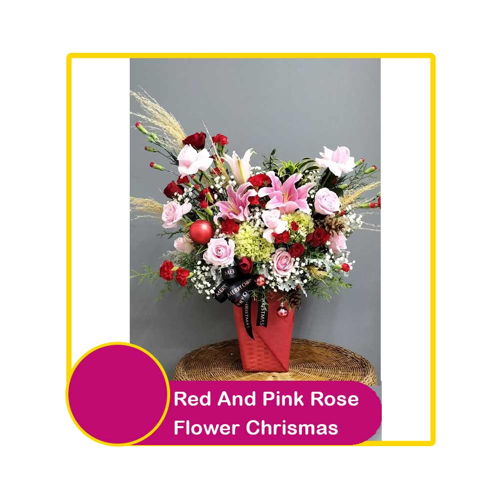 Nancy Florist Rose Christmas Flower Red & Pink | Klik Indomaret